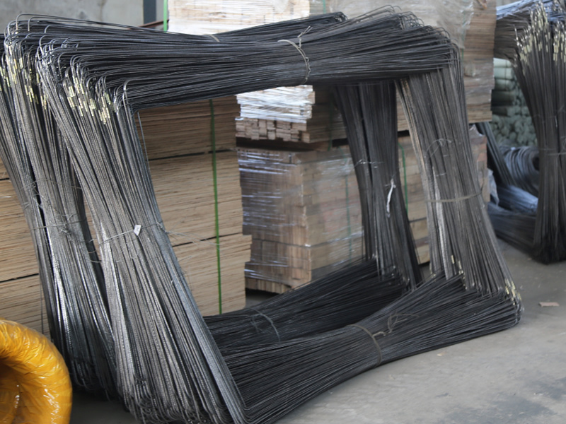 8dee415cd.jpg 8dee415cd.jpg